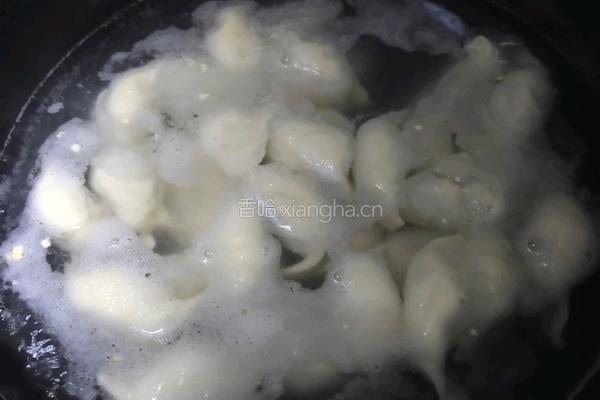 韭菜鸡蛋水饺的做法图解8