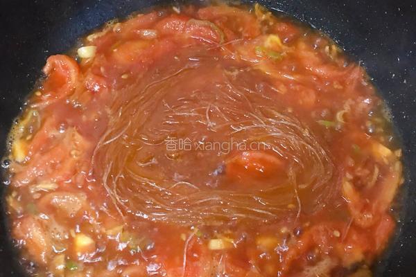 肥牛炒西红柿粉丝的做法图解7