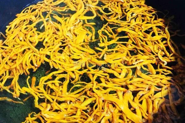 凉拌菠菜虫草菇的做法图解1