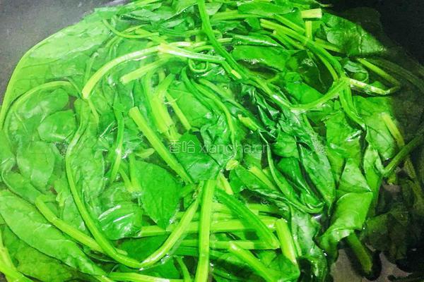 凉拌菠菜虫草菇的做法图解2