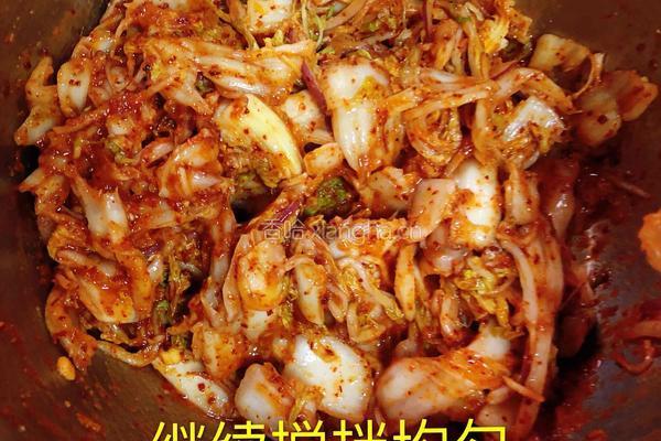 家庭版韩式辣白菜的做法图解8