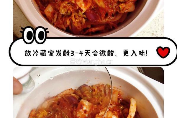 家庭版韩式辣白菜的做法图解9