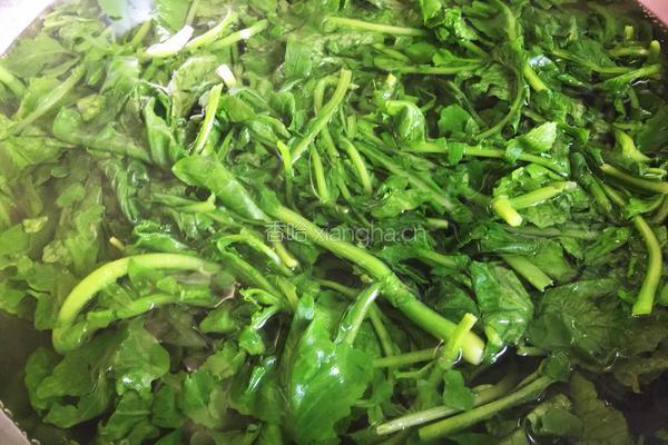 秋季养生小菜萝卜苗小豆腐的做法图解3