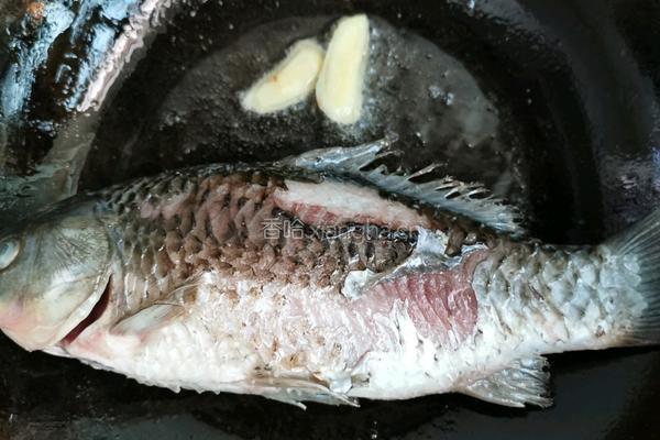 番茄鲫鱼豆腐汤的做法图解5