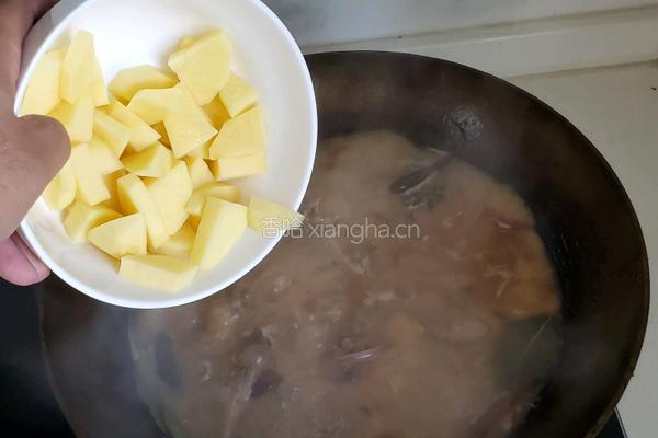 土豆炖鸡块的做法图解5
