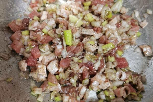 白萝卜玉米面肉团子的做法图解7
