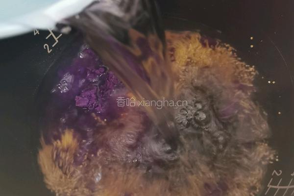 紫薯小米粥的做法图解6