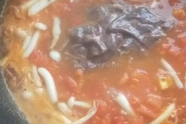 猪肝炖番茄的做法图解7