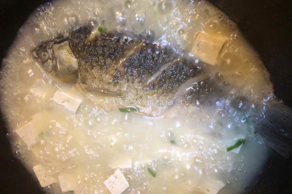 【秋季最强补钙汤品】奶白色鲫鱼豆腐汤的做法图解6