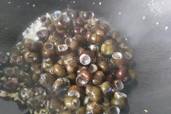 爆炒田螺的做法图解12