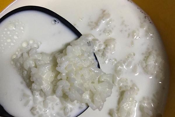 海鲜牛奶粥的做法图解2
