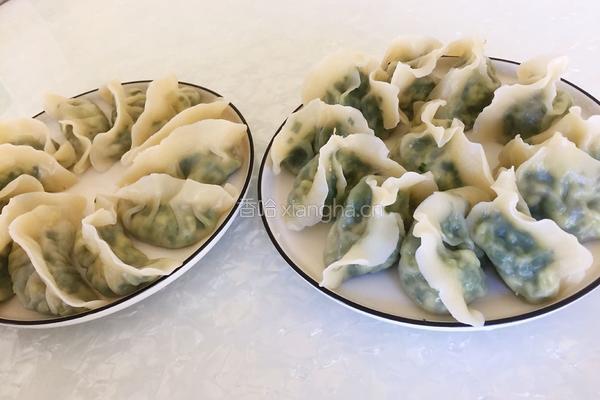 韭菜鸡蛋水饺的做法图解3