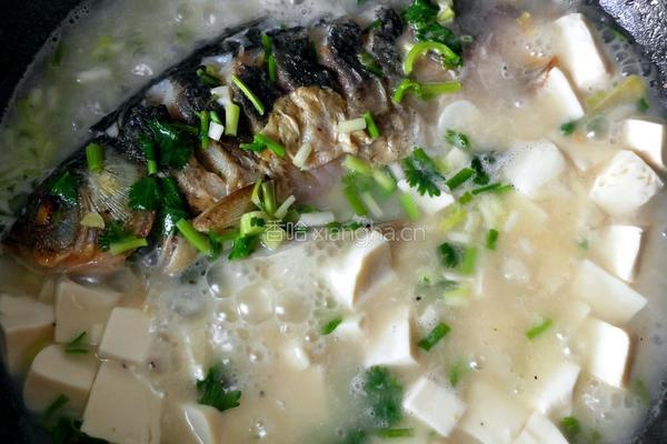 鲫鱼豆腐汤的做法图解14