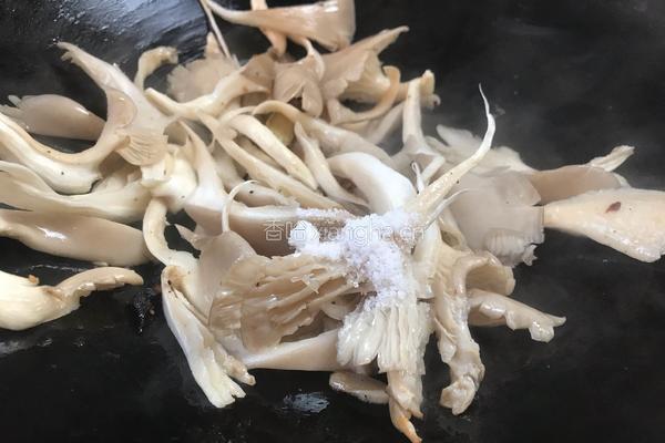 黄瓜蘑菇汤的做法图解8