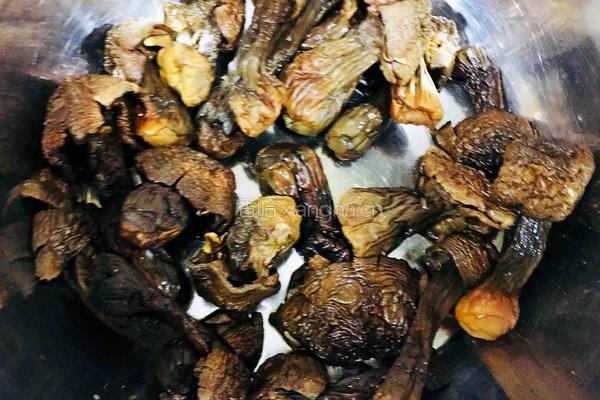 松茸鸡汤的做法图解3