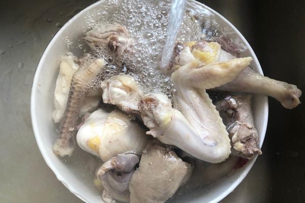 虫草花参须鸡汤的做法图解6