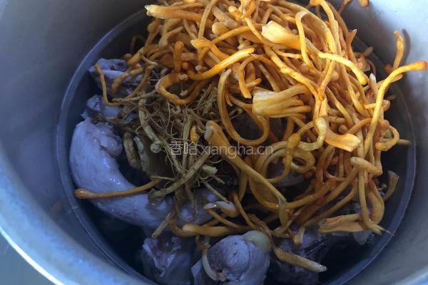 虫草花参须鸡汤的做法图解8