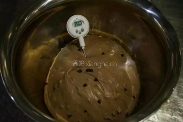 可可香浓软欧包的做法图解12