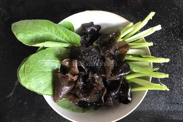青菜鱼片汤的做法图解3