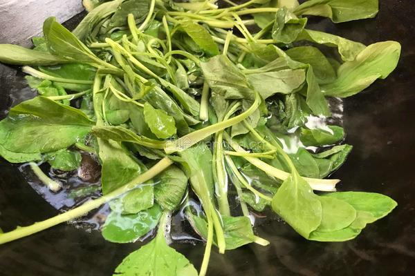 木耳虾皮汤的做法图解8