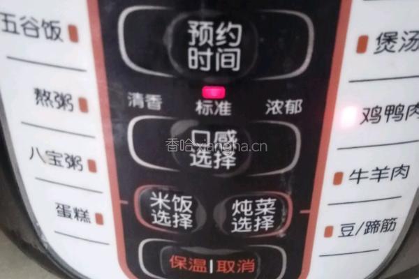 白萝卜炖肥肠的做法图解8