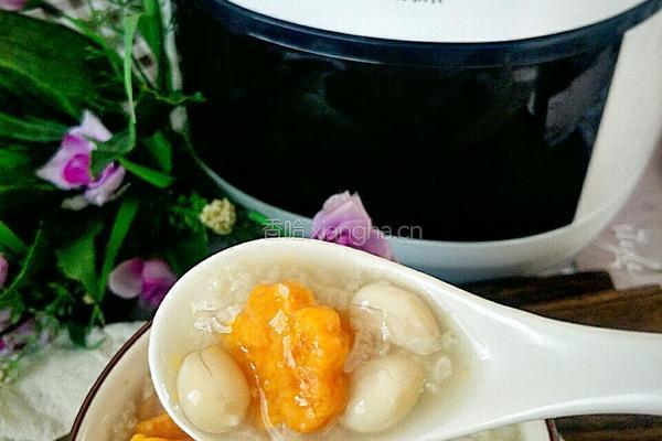 红薯糯米花生粥的做法图解10