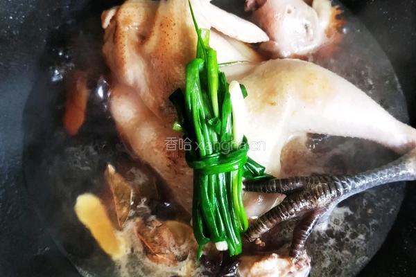 酱油鸡的做法图解2