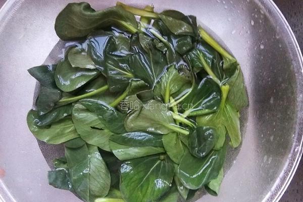 青菜炒平菇的做法图解1