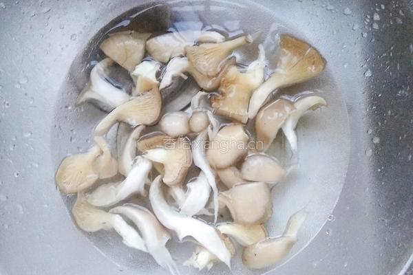 青菜炒平菇的做法图解2