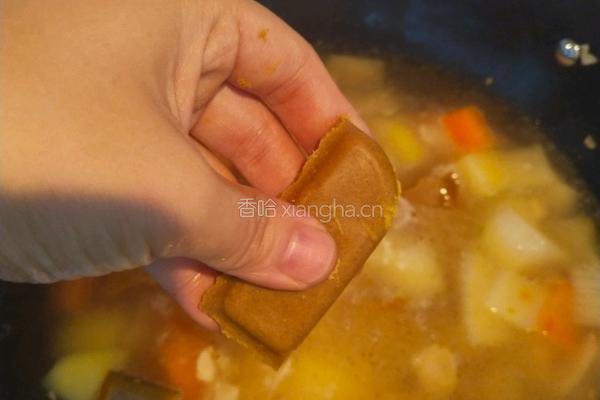咖喱鸡肉的做法图解6