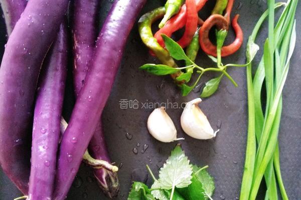 红烧茄子的做法图解2