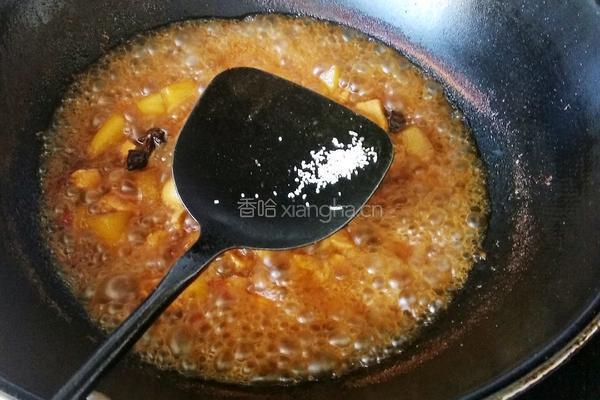 土豆番茄烧鸡胸肉的做法图解6