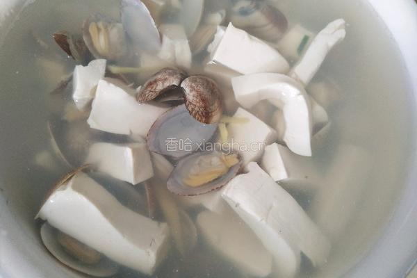 花蛤豆腐汤的做法图解7
