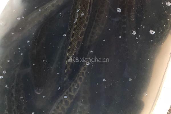 水煮鱼，麻辣水煮鱼的做法图解1