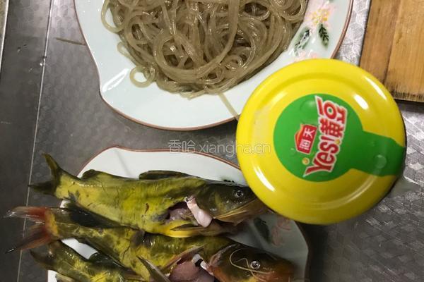 嘎鱼烧粉丝的做法图解1