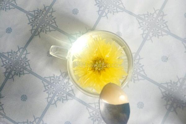 椴树蜜金丝皇菊茶的做法图解5