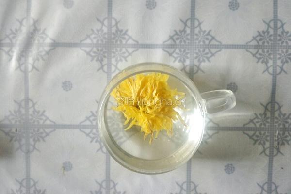 椴树蜜金丝皇菊茶的做法图解4