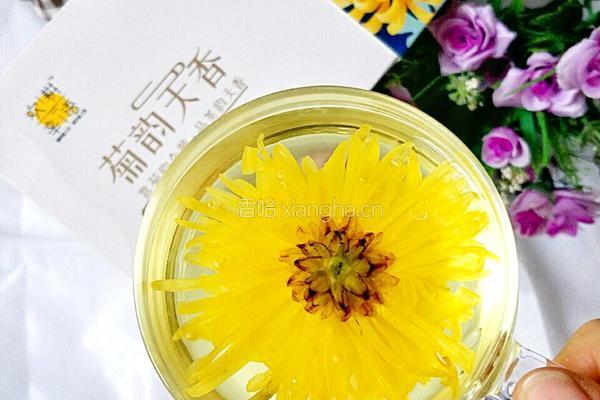 椴树蜜金丝皇菊茶的做法图解8