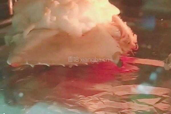 芙蓉蟹斗的做法图解11