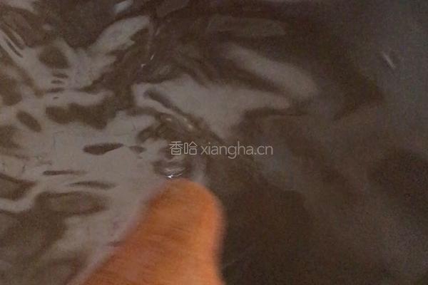 川贝秋梨膏的做法图解7