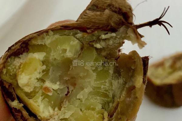水煮板栗的做法图解6