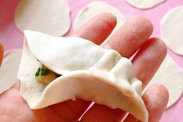 韭菜猪肉饺子的做法图解9