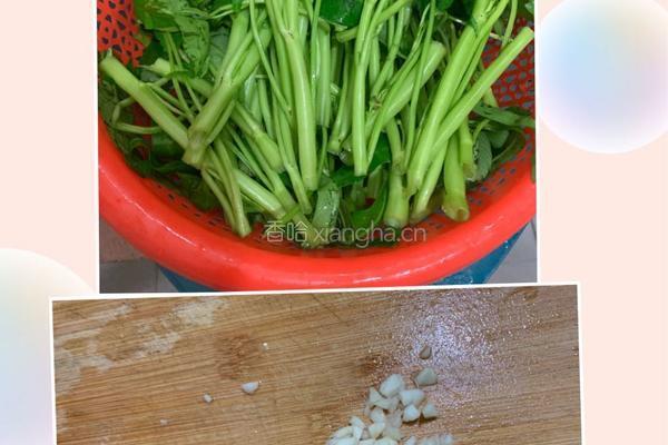 蒜香爽辣空心菜的做法图解1
