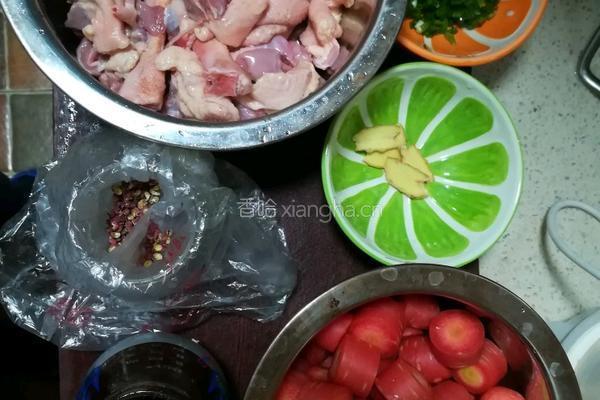 红烧鹅肉的做法图解1