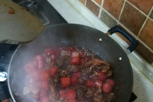 红烧鹅肉的做法图解9