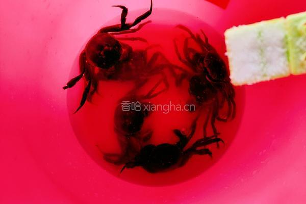 清蒸螃蟹的做法图解3