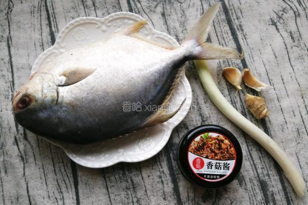 酱烧银鲳鱼的做法图解1