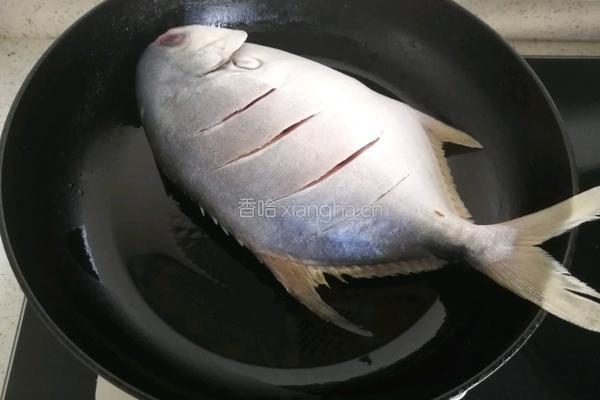 酱烧银鲳鱼的做法图解10