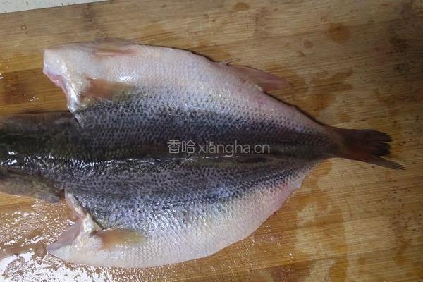 清蒸鲈鱼的做法图解1