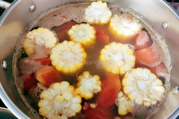 蛤蜊玉米番茄牛骨汤的做法图解9